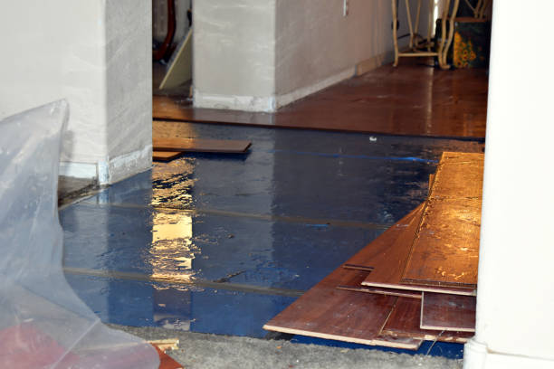 Professional Burst Pipe Cleanup technician working in Waldron, MO